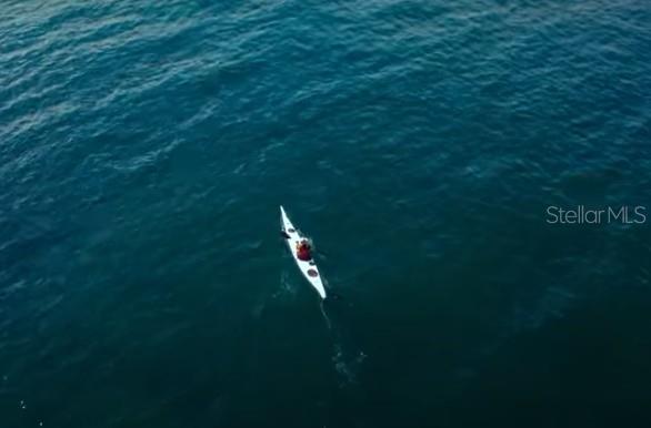 Listing photo id 20 for 12 Maidenbush Circle