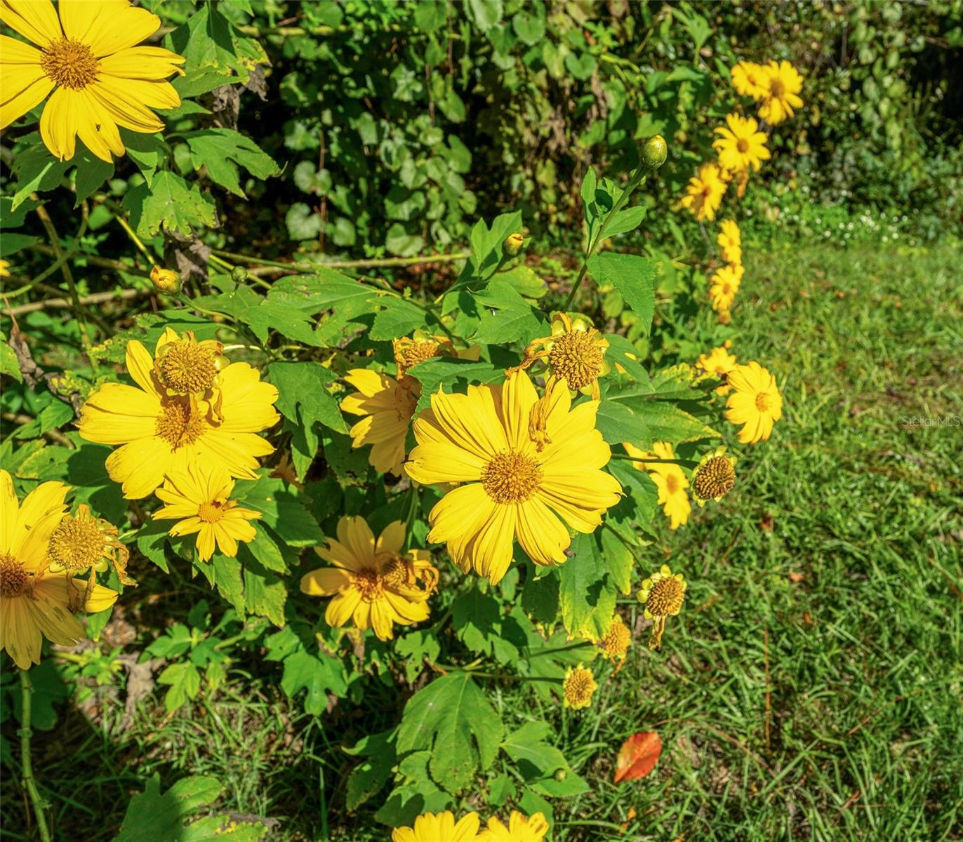 Image 28 of 38 For 495 Shell Road