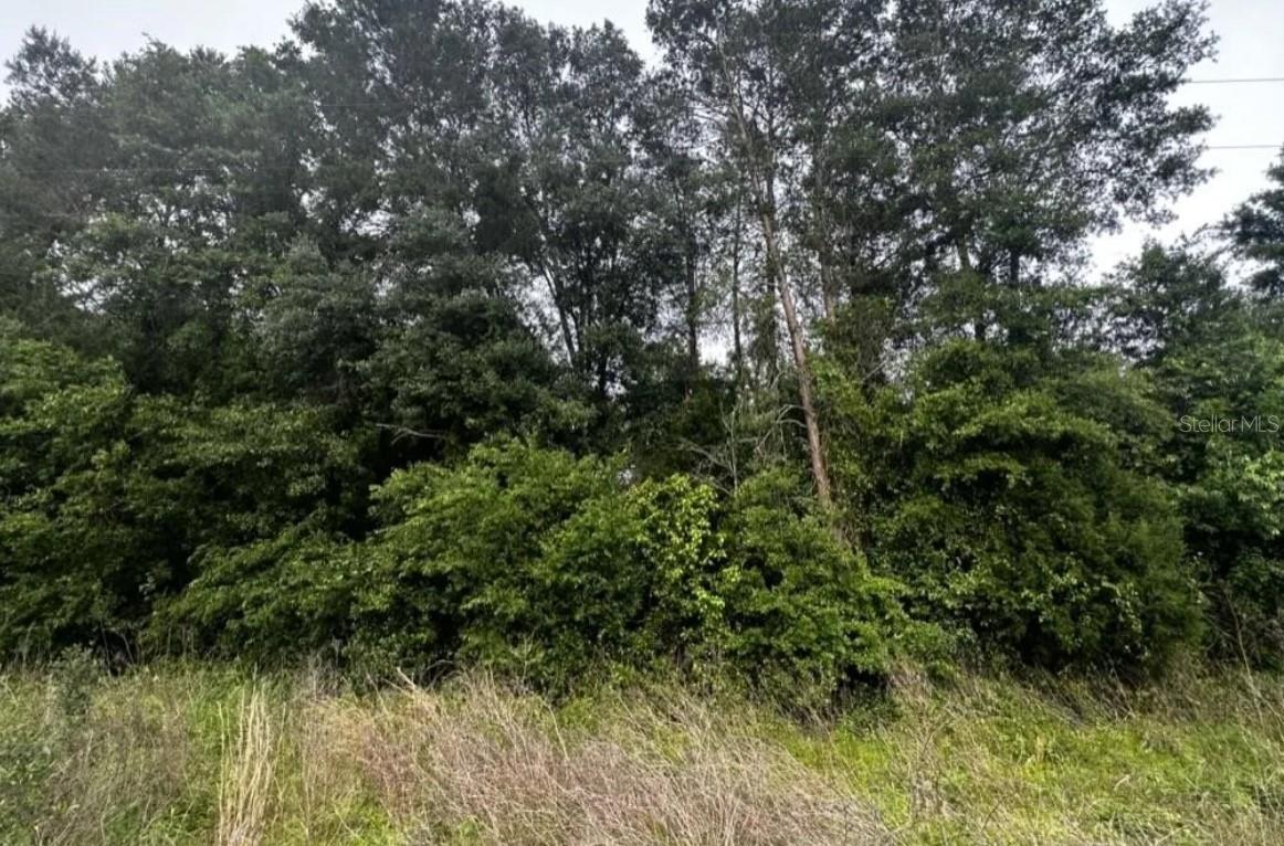 Image 10 of 10 For Se Gunpowder Avenue