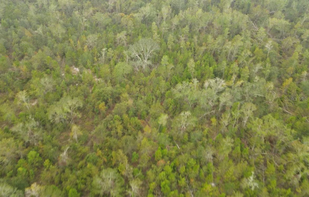 Image 8 of 10 For Se Gunpowder Avenue