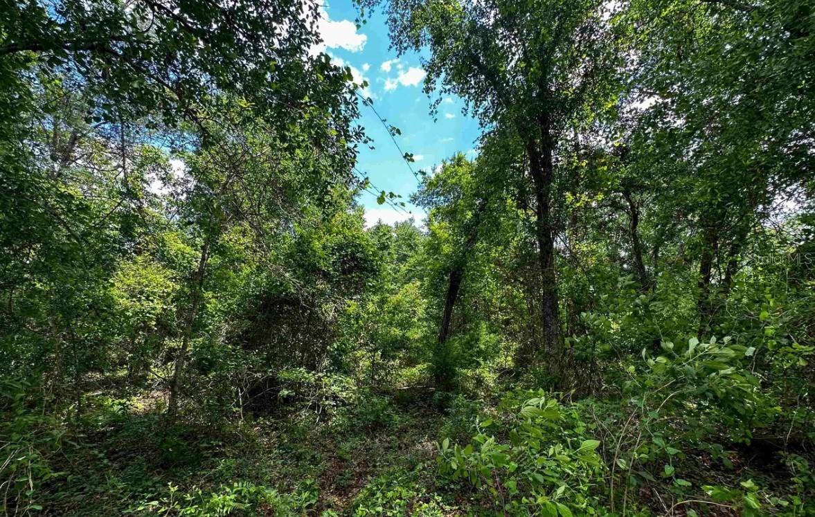 Image 9 of 10 For Se Gunpowder Avenue