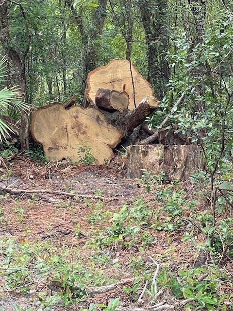 Image 5 of 12 For 2908 Cleburne Road