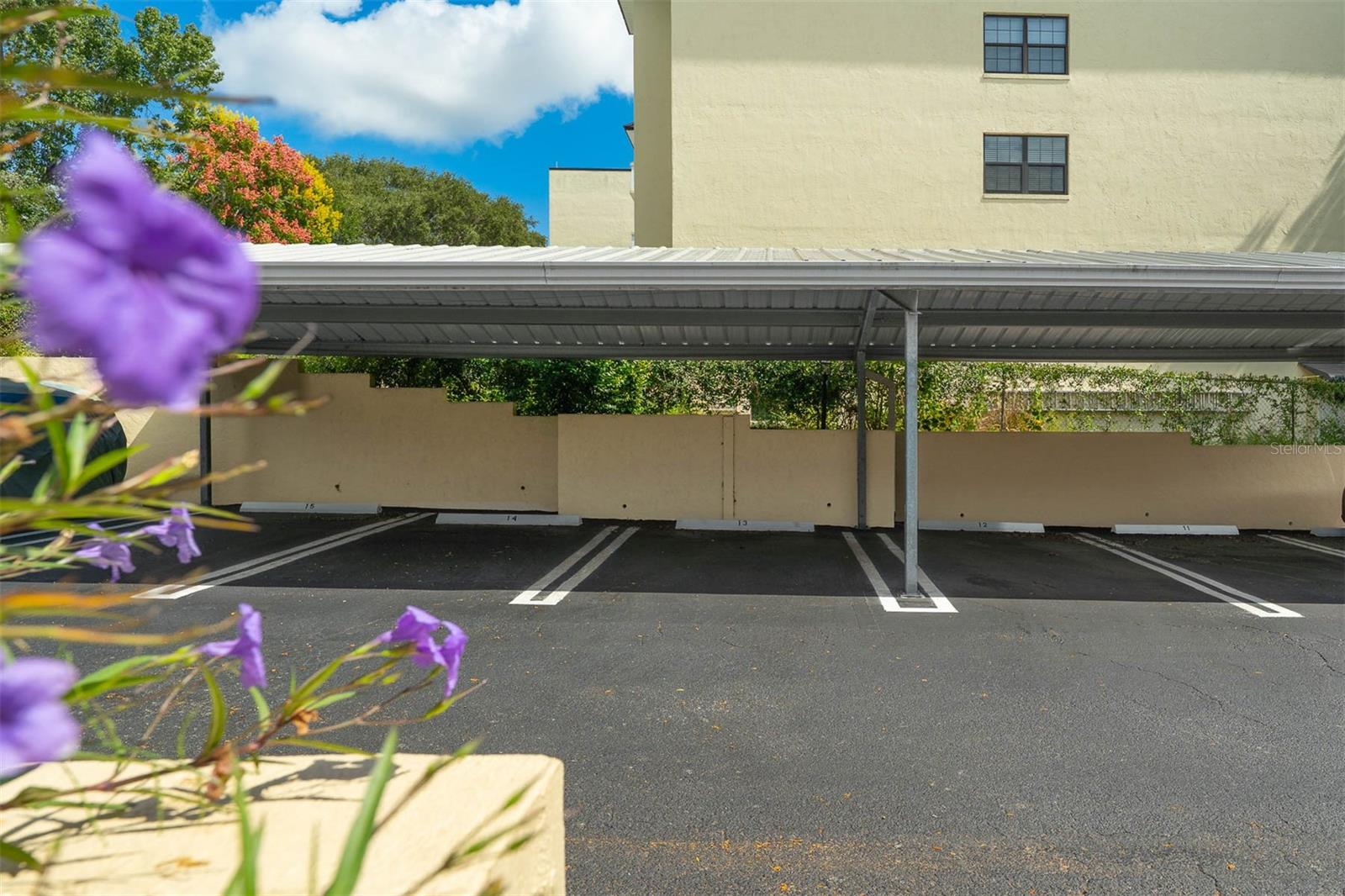 Image 13 of 24 For 110 Tremain Street 209