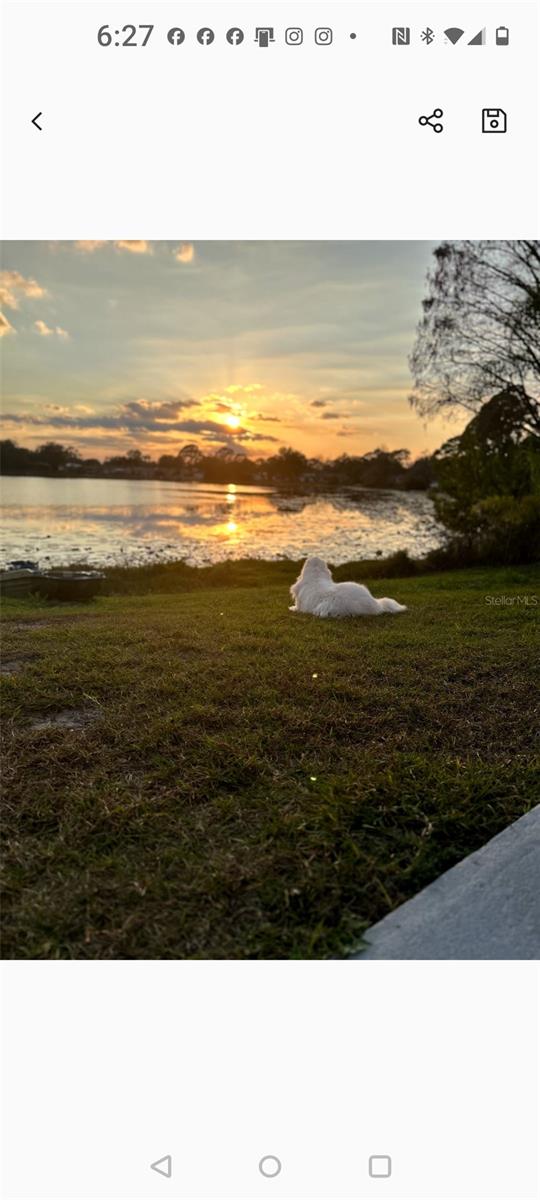 Image 50 of 50 For 1051 Eva Street