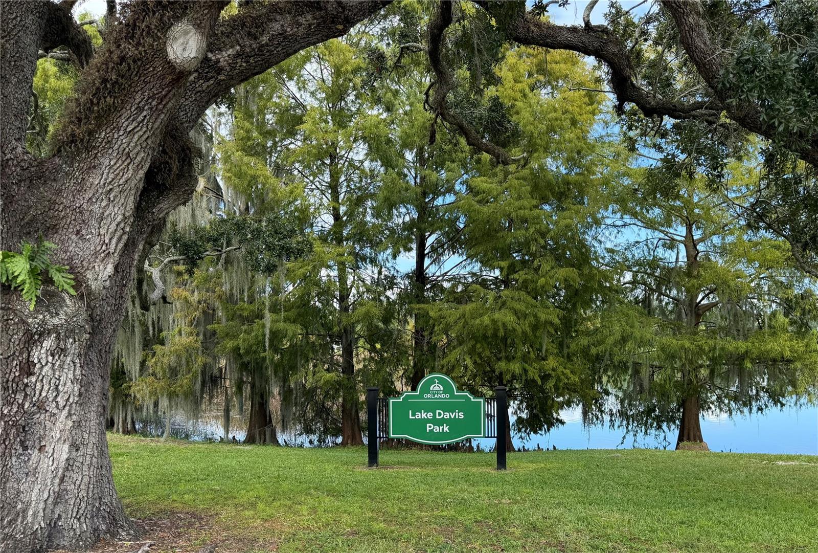 Image 6 of 12 For 1105 Elmwood Street