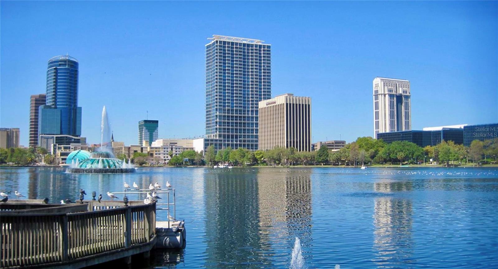 Image 7 of 12 For 1105 Elmwood Street