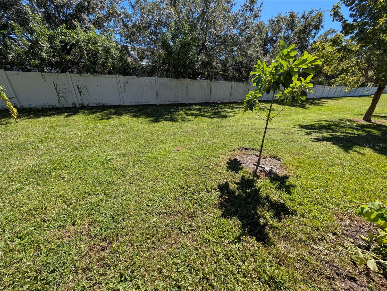 Image 11 of 39 For 2203 Chatham Place Drive