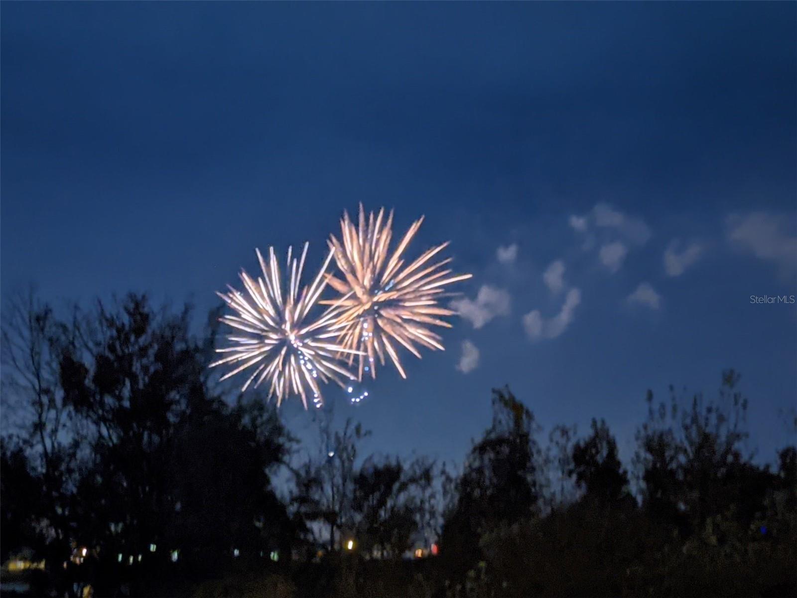 Image 23 of 58 For 14230 Avenue Of The Groves