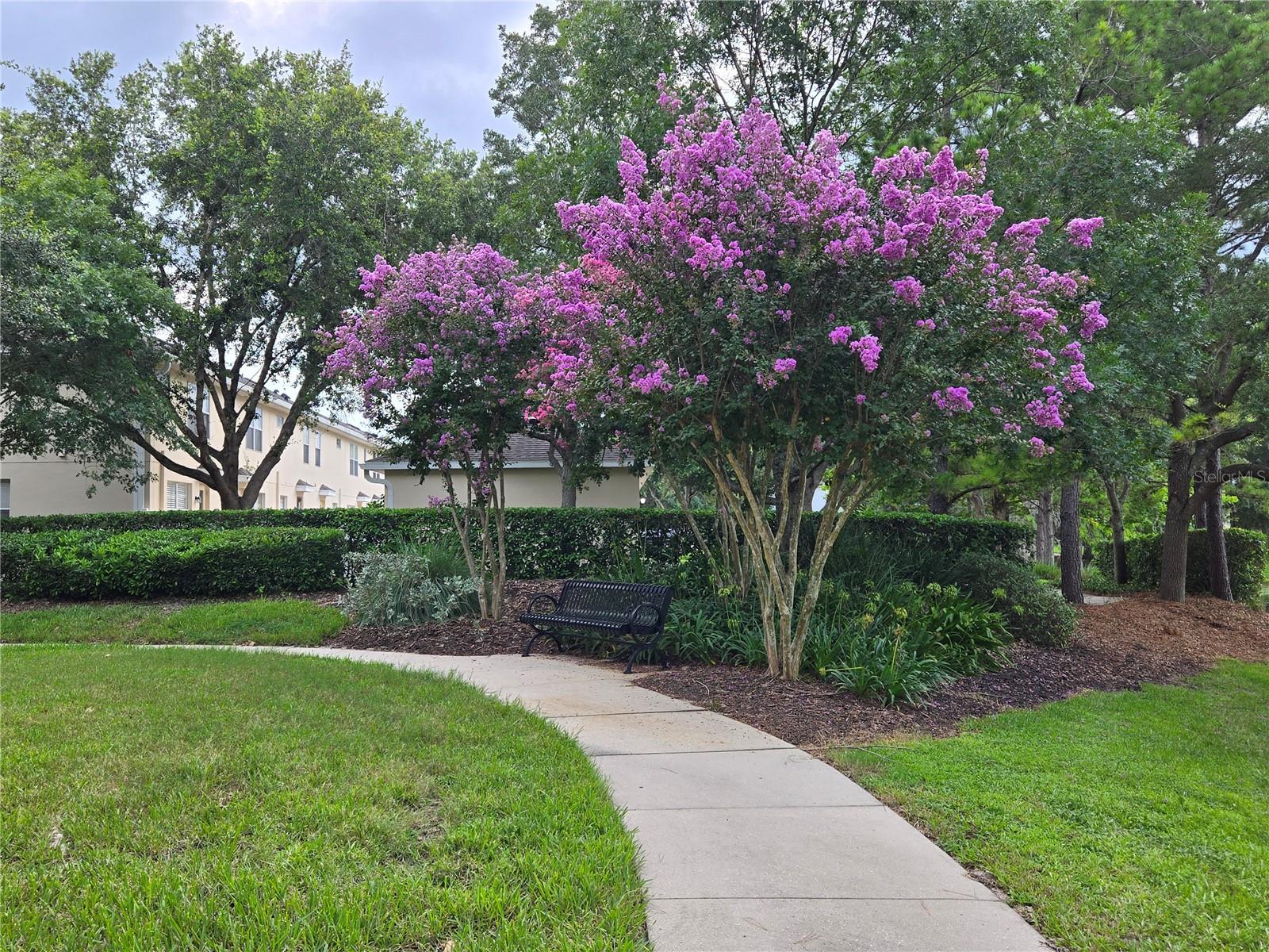 Image 37 of 58 For 14230 Avenue Of The Groves