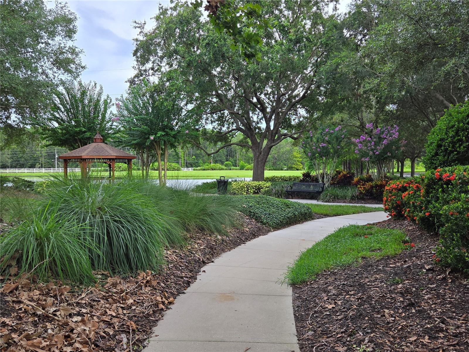 Image 38 of 58 For 14230 Avenue Of The Groves