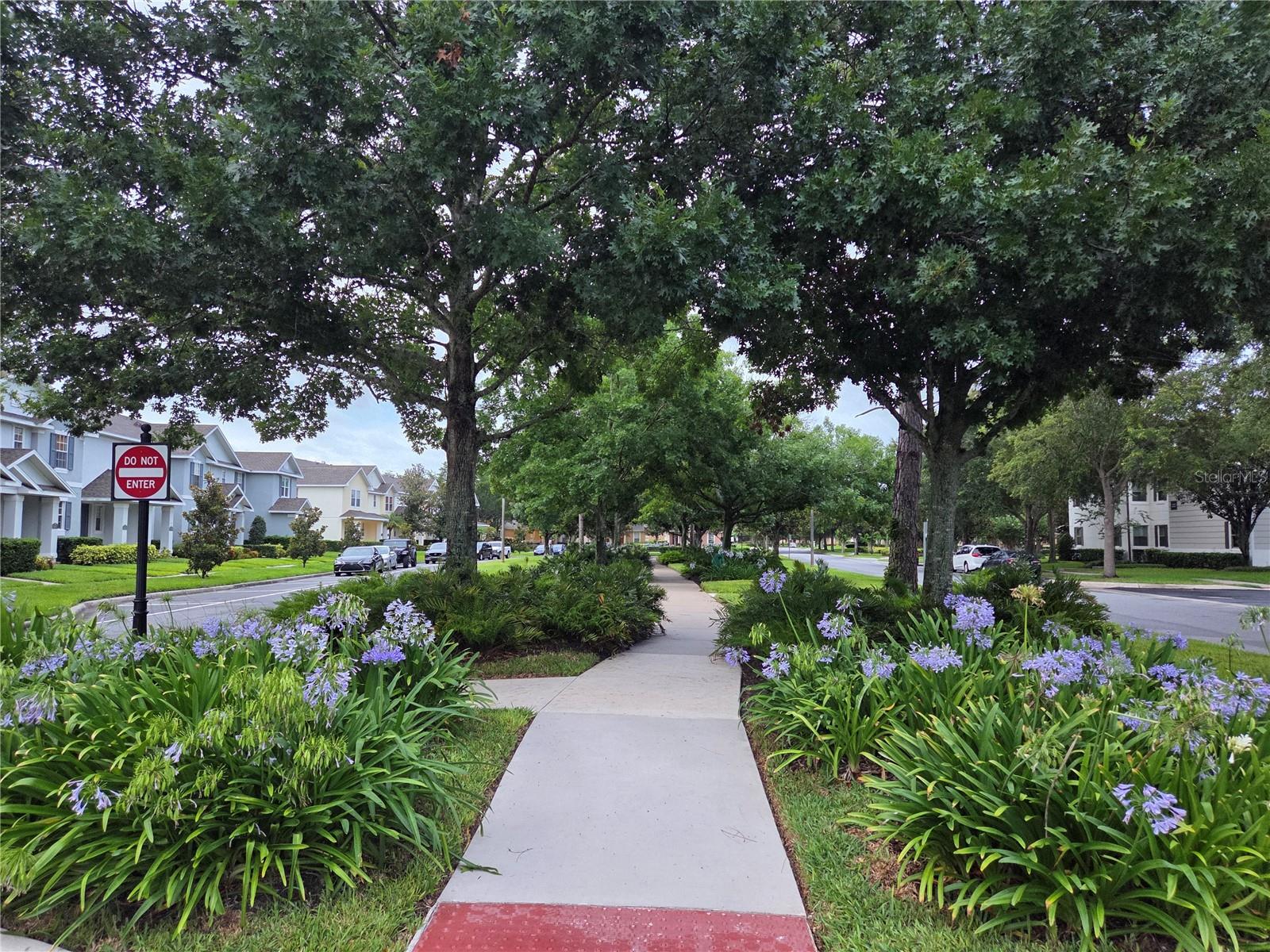 Image 39 of 58 For 14230 Avenue Of The Groves