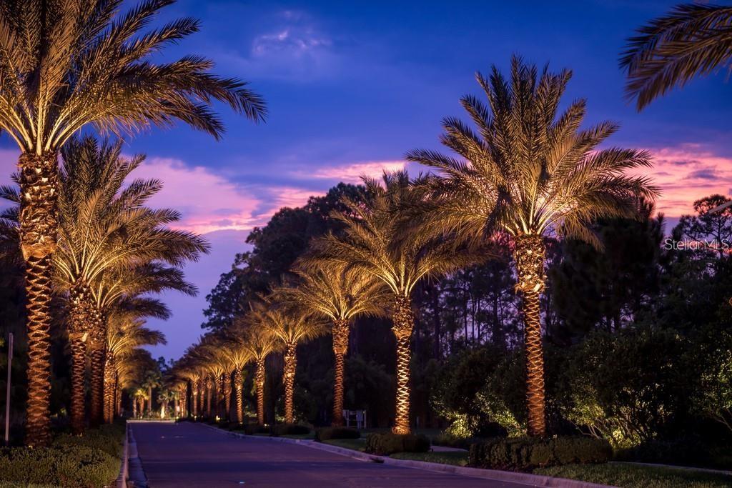 Image 38 of 40 For 14501 Grove Resort Avenue 3514