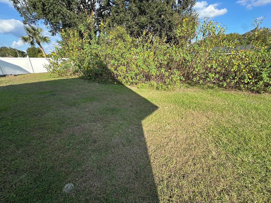 Image 17 of 19 For 7284 Abbey Lane