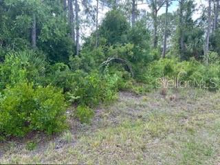 Image 2 of 9 For Beckwith Avenue