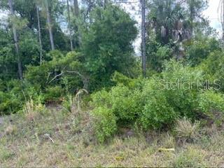 Image 6 of 9 For Beckwith Avenue