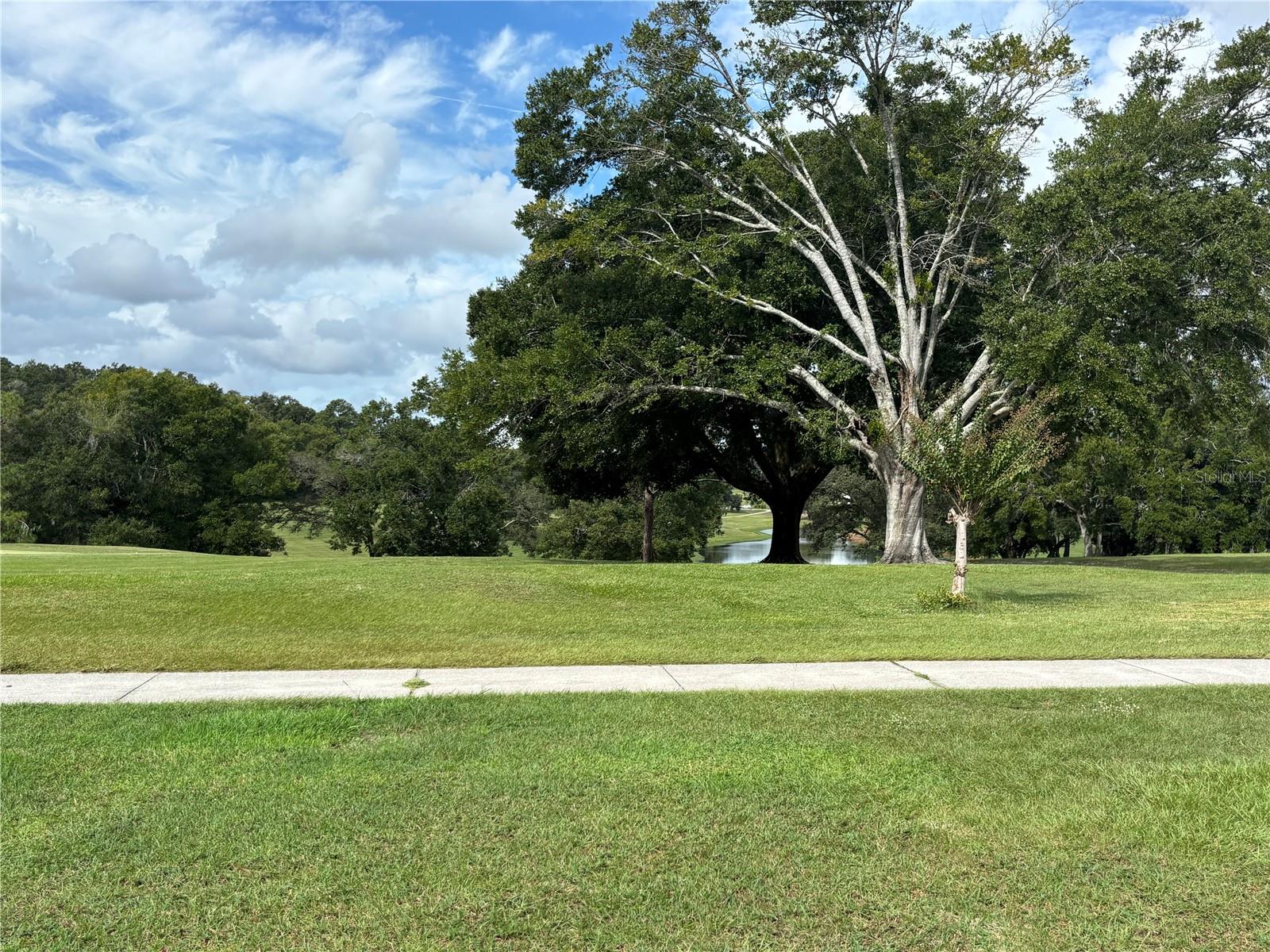 Image 28 of 28 For 2111 Canopy Circle 139