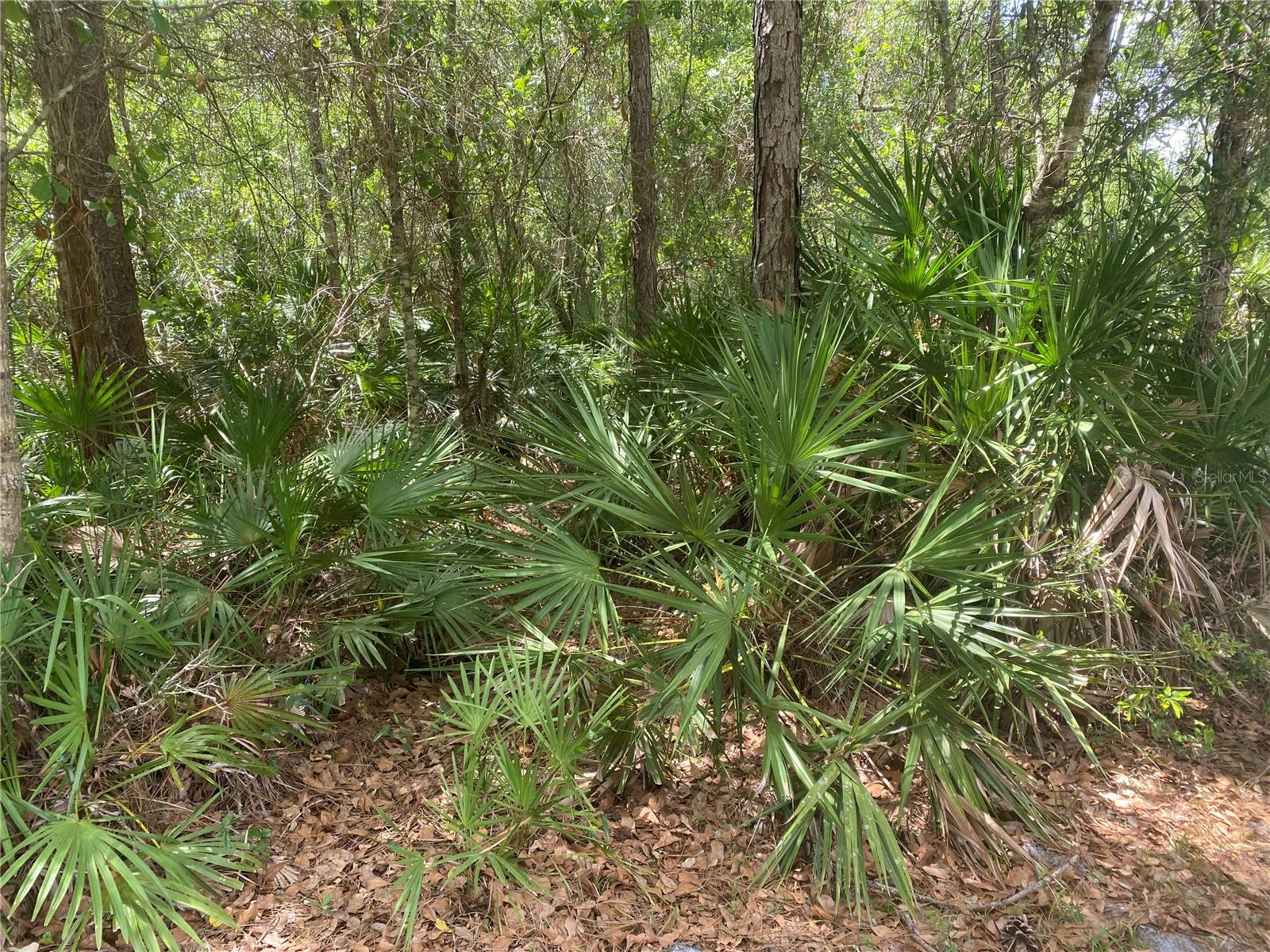 Image 16 of 21 For  Hwy 70  