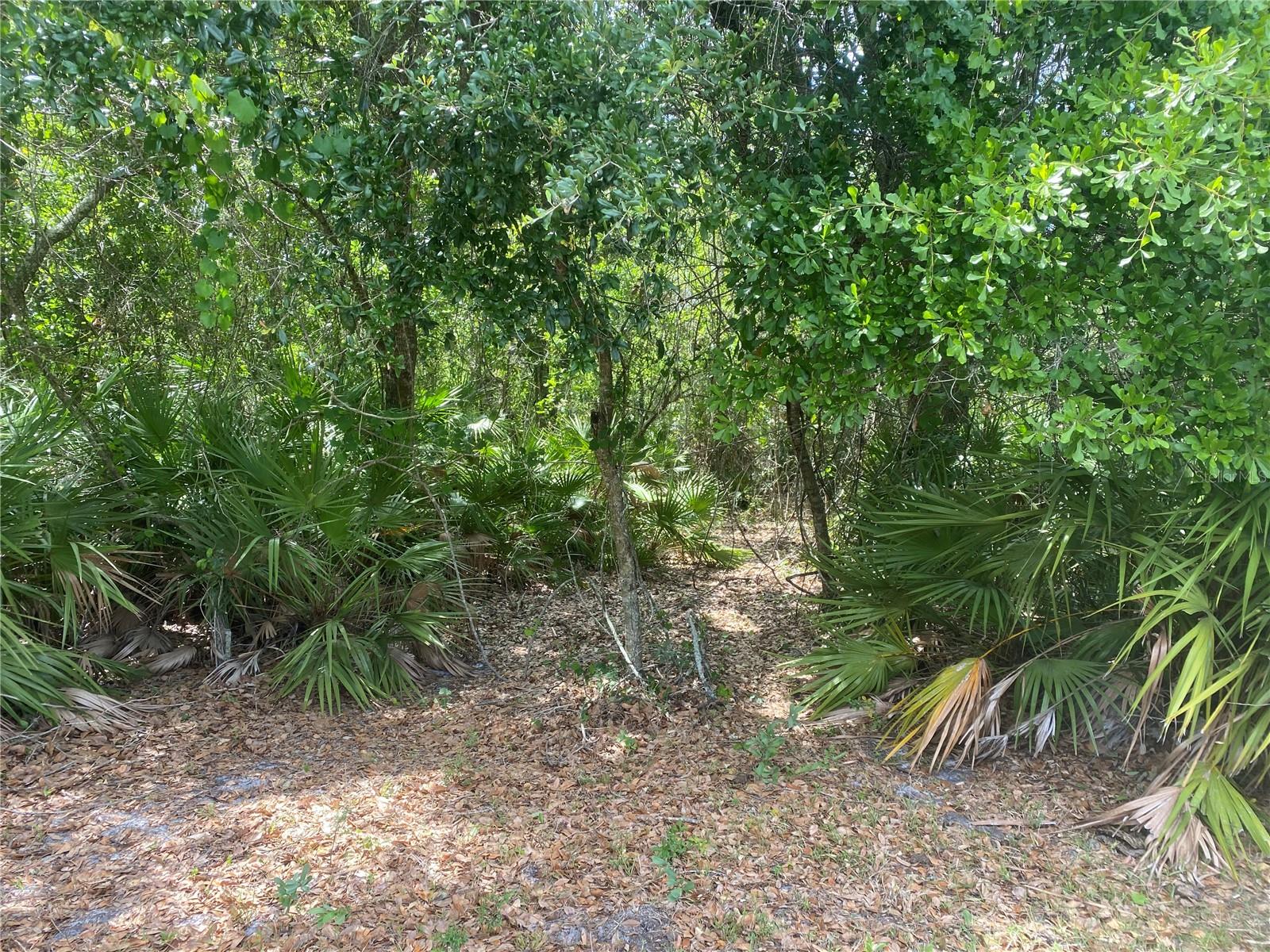 Image 17 of 21 For  Hwy 70  