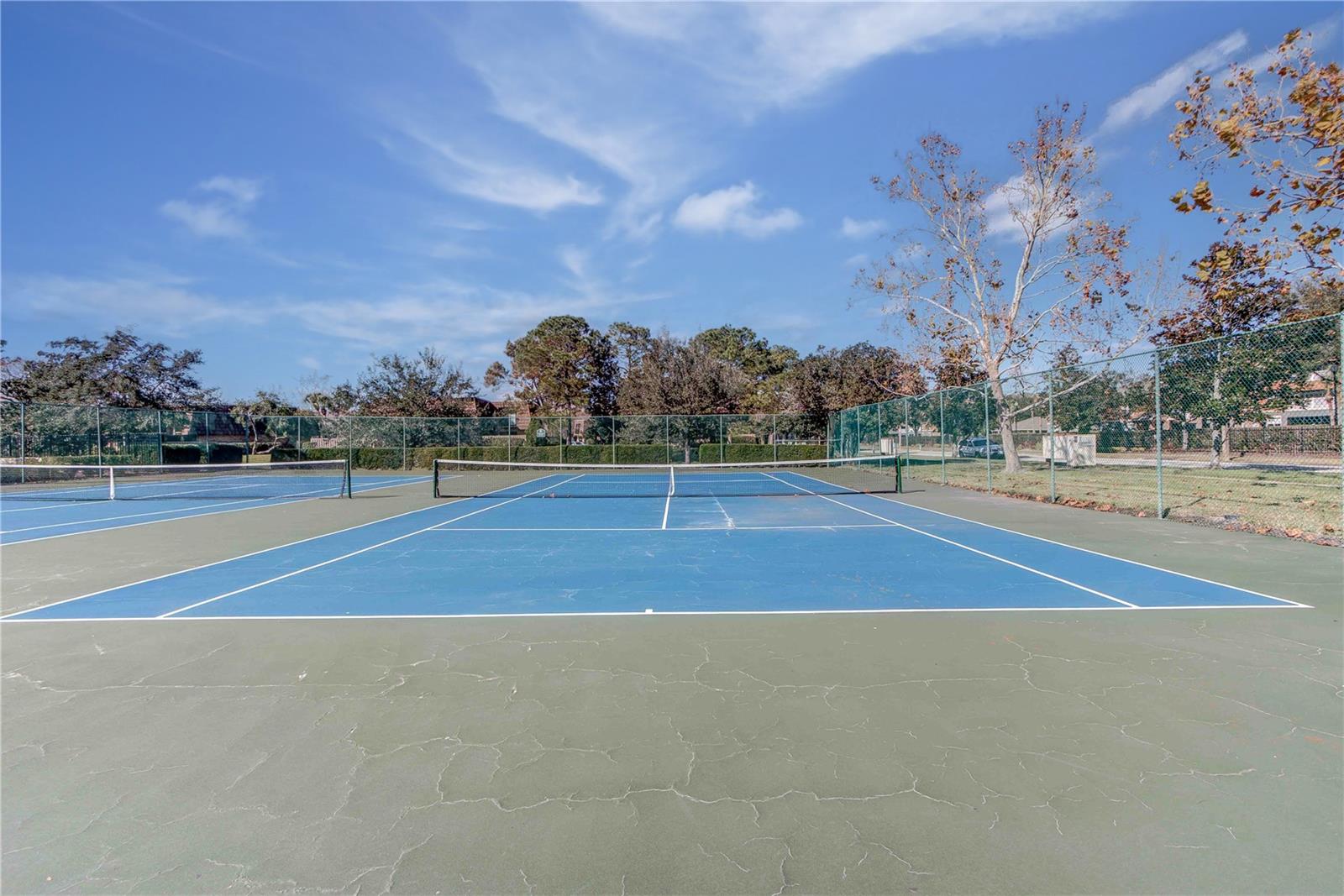 Image 30 of 40 For 5341 Bamboo Court 418