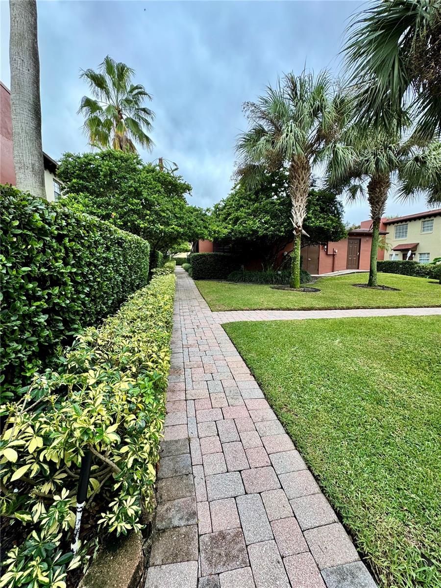 Image 20 of 23 For 1527 Catherine Street 28