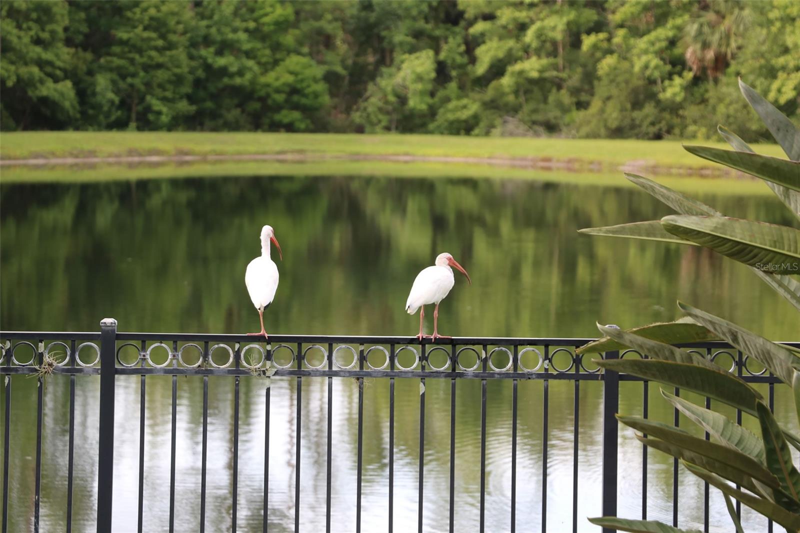 Image 32 of 43 For 102 Acadia Terrace