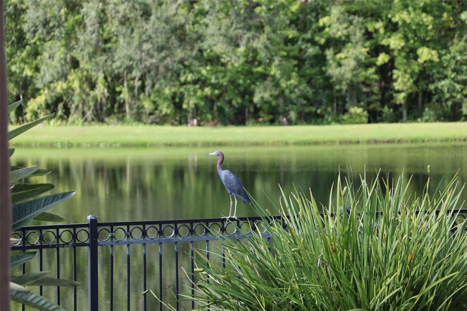 Image 34 of 43 For 102 Acadia Terrace