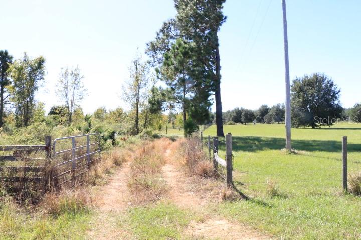 Details for 11307 Carter Island Road, GROVELAND, FL 34736