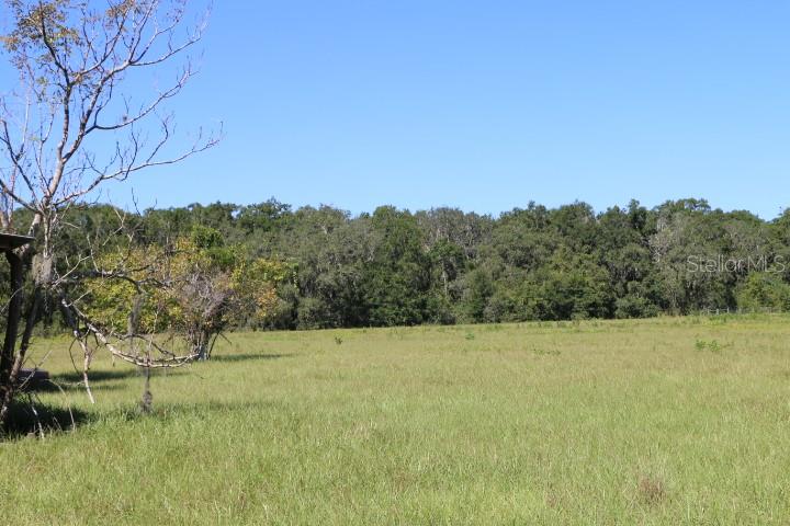 Image 10 of 33 For 11307 Carter Island Road