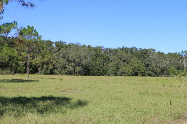 Image 11 of 33 For 11307 Carter Island Road