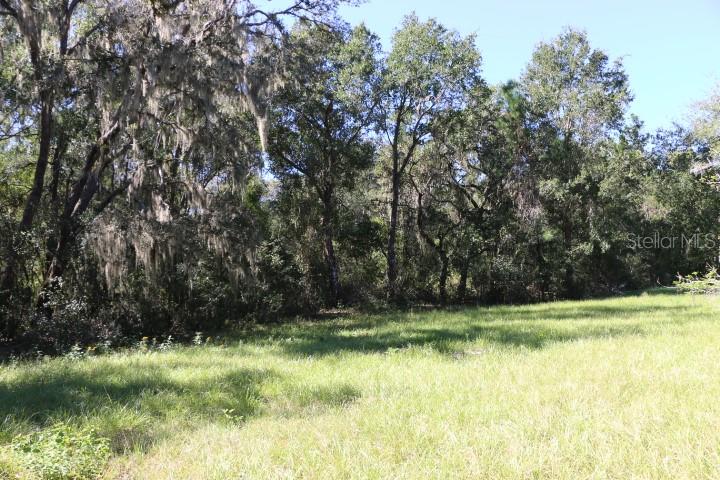 Image 7 of 33 For 11307 Carter Island Road