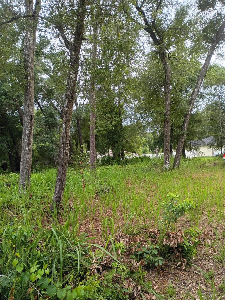 Image 3 of 4 For 00 7th Street