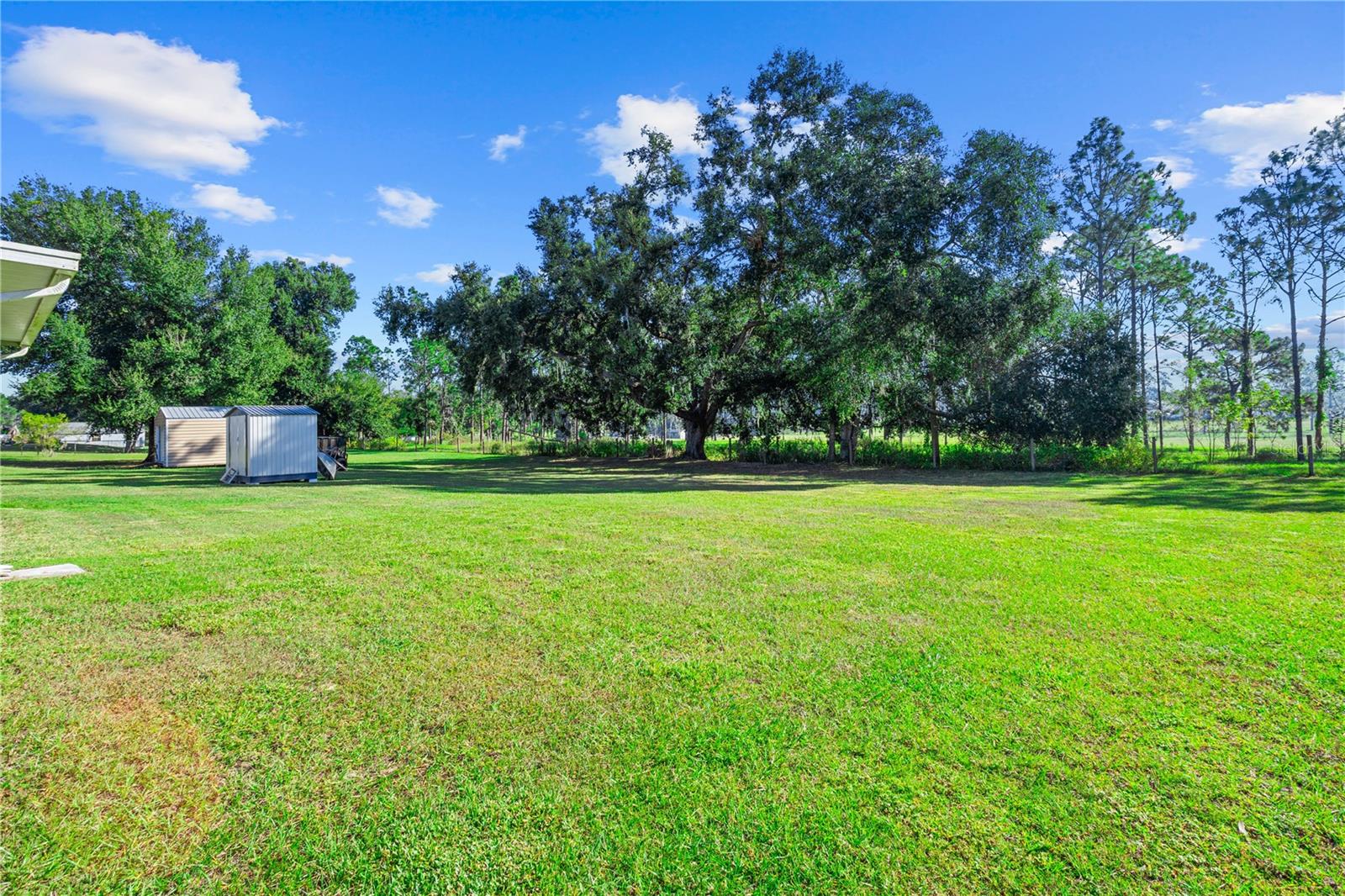 Image 5 of 36 For 13532 Kent Bradley Street