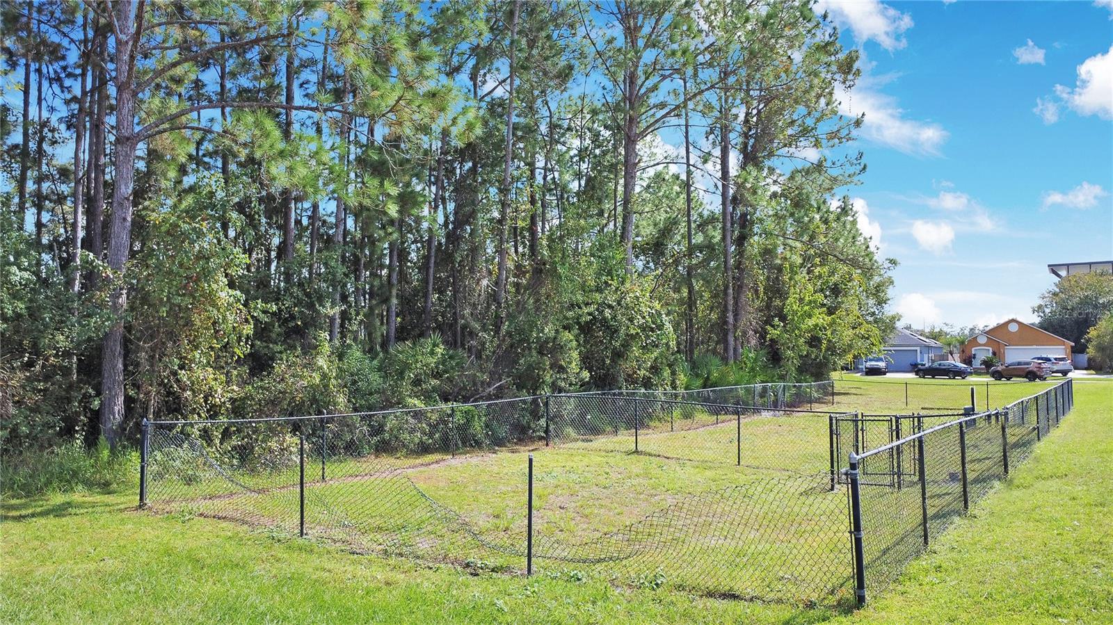 Image 23 of 29 For 12909 Odyssey Lake Way