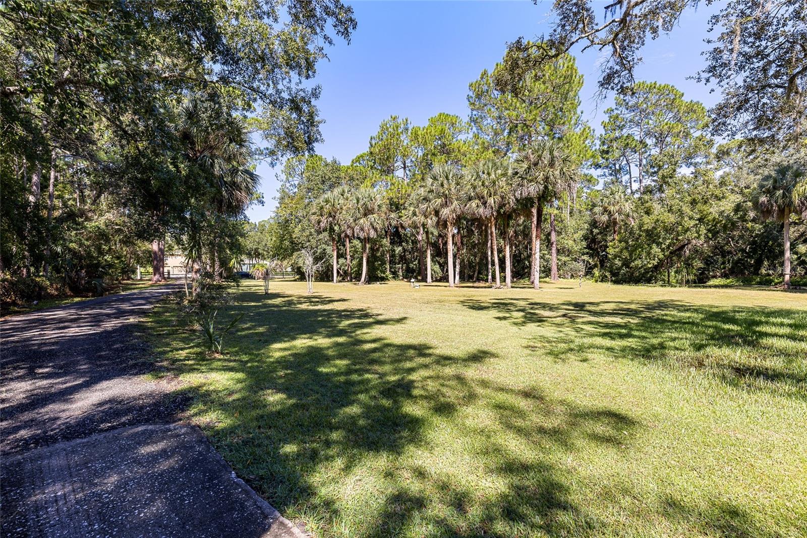 Image 49 of 63 For 435 Orange Avenue