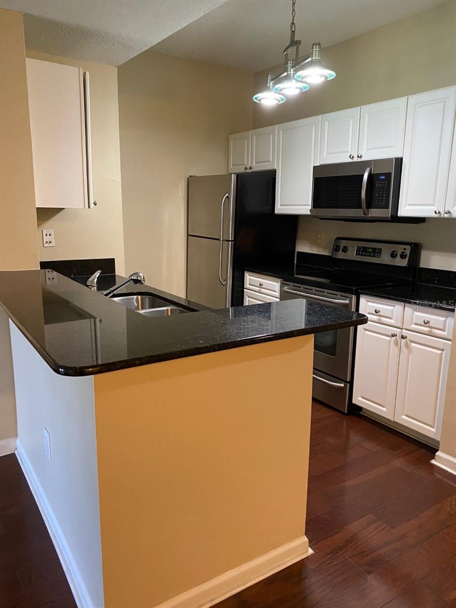 Image 5 of 17 For 14316 Fredricksburg Drive 513