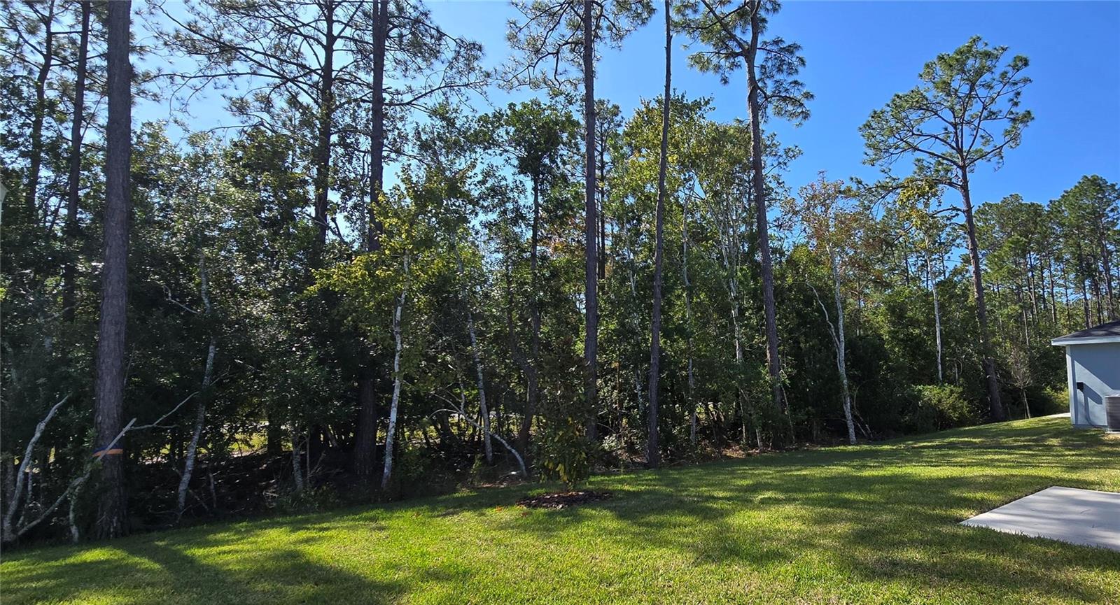 Image 38 of 39 For 17 Dilly Court