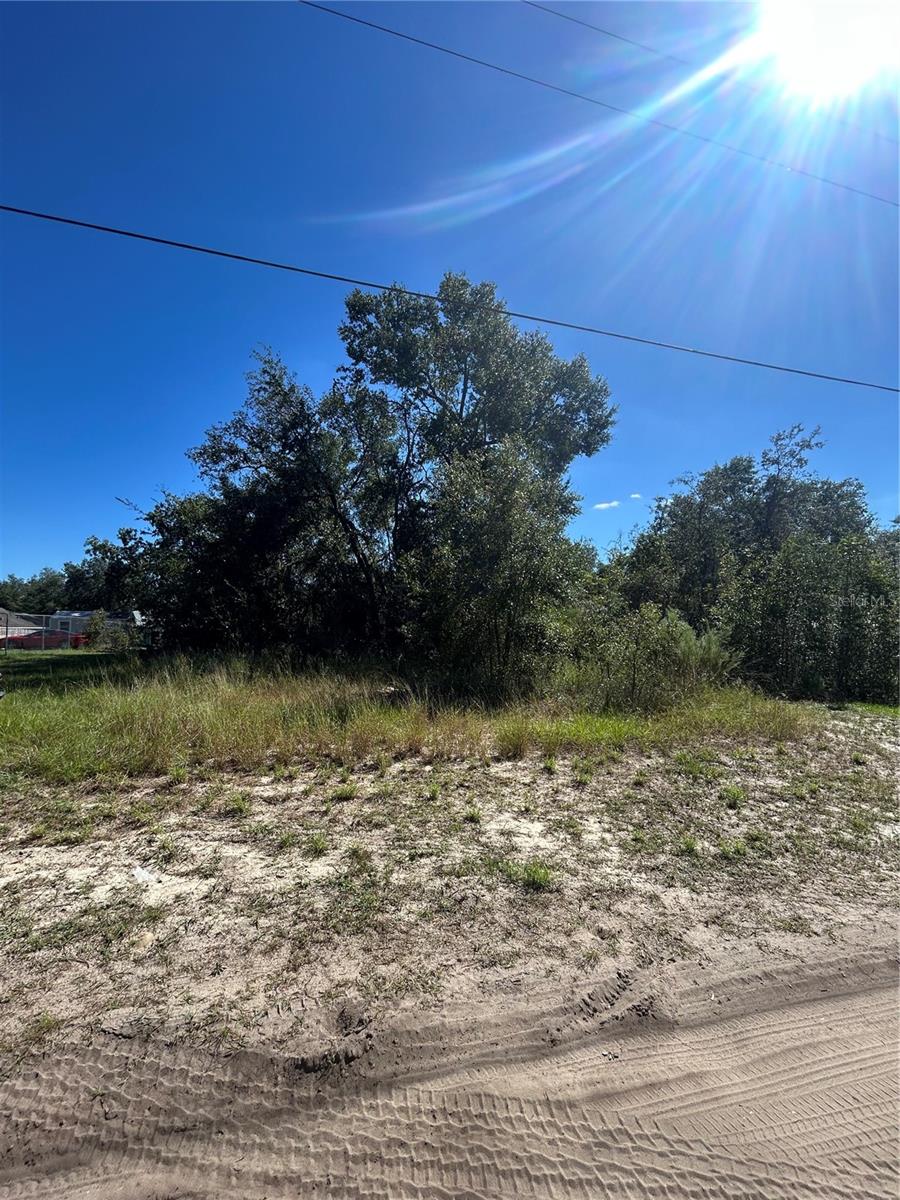 Details for  Palm Street , LADY LAKE, FL 32159