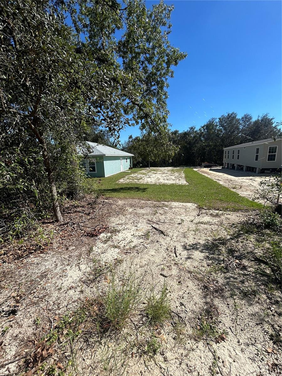 Image 6 of 8 For  Palm Street 