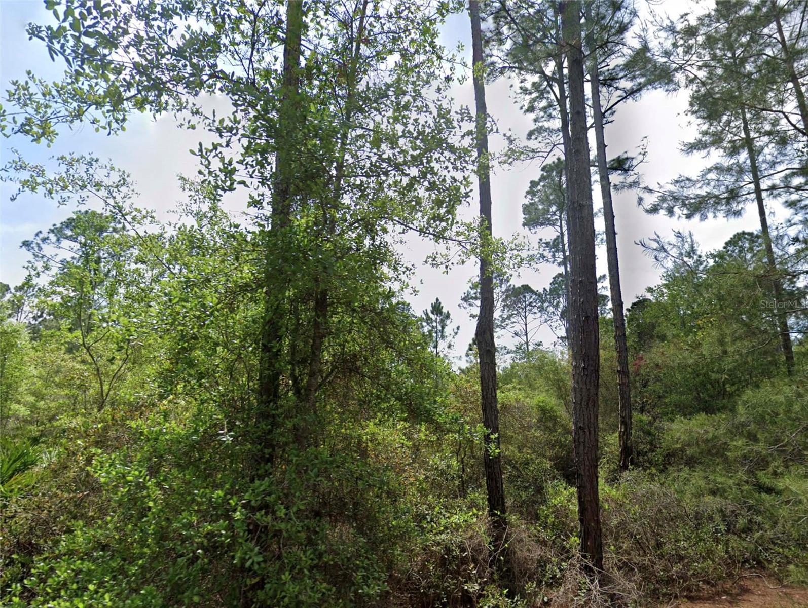 Details for 126 & 128 Grandale Street, GEORGETOWN, FL 32139