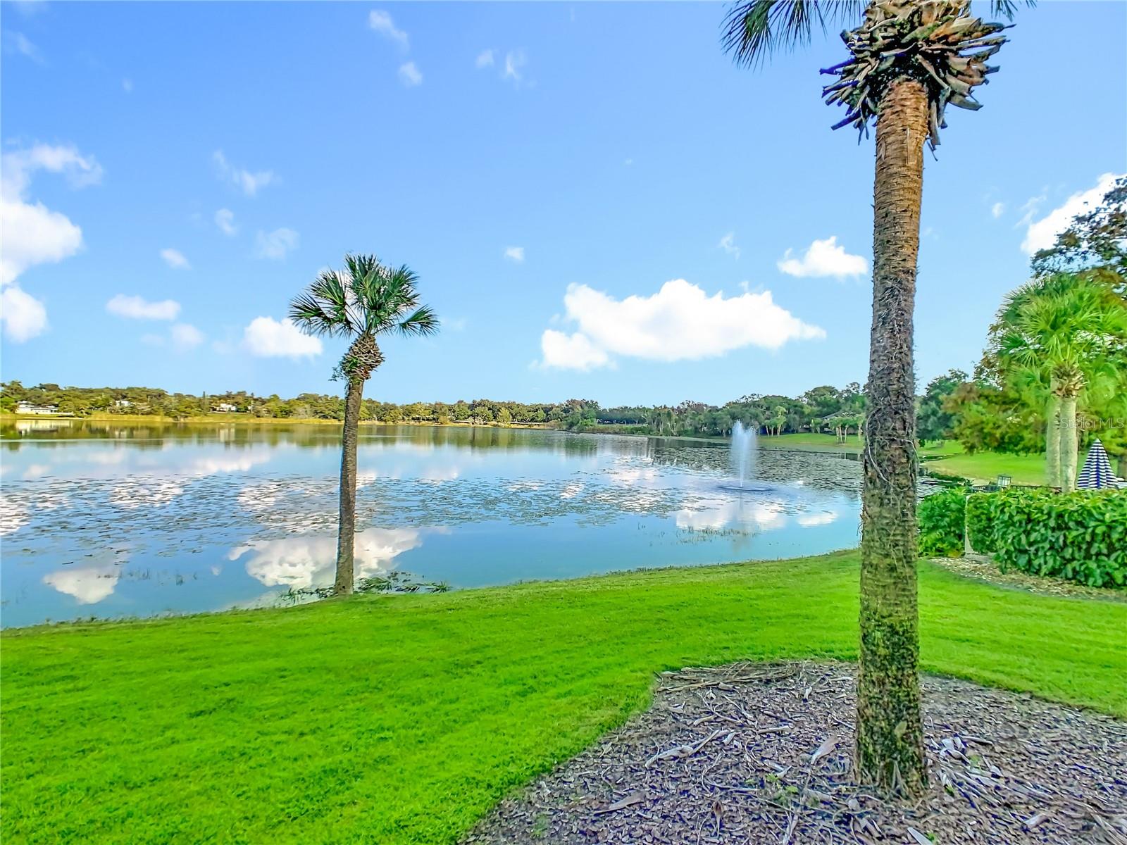 Image 30 of 38 For 353 Lake Faith Drive 116