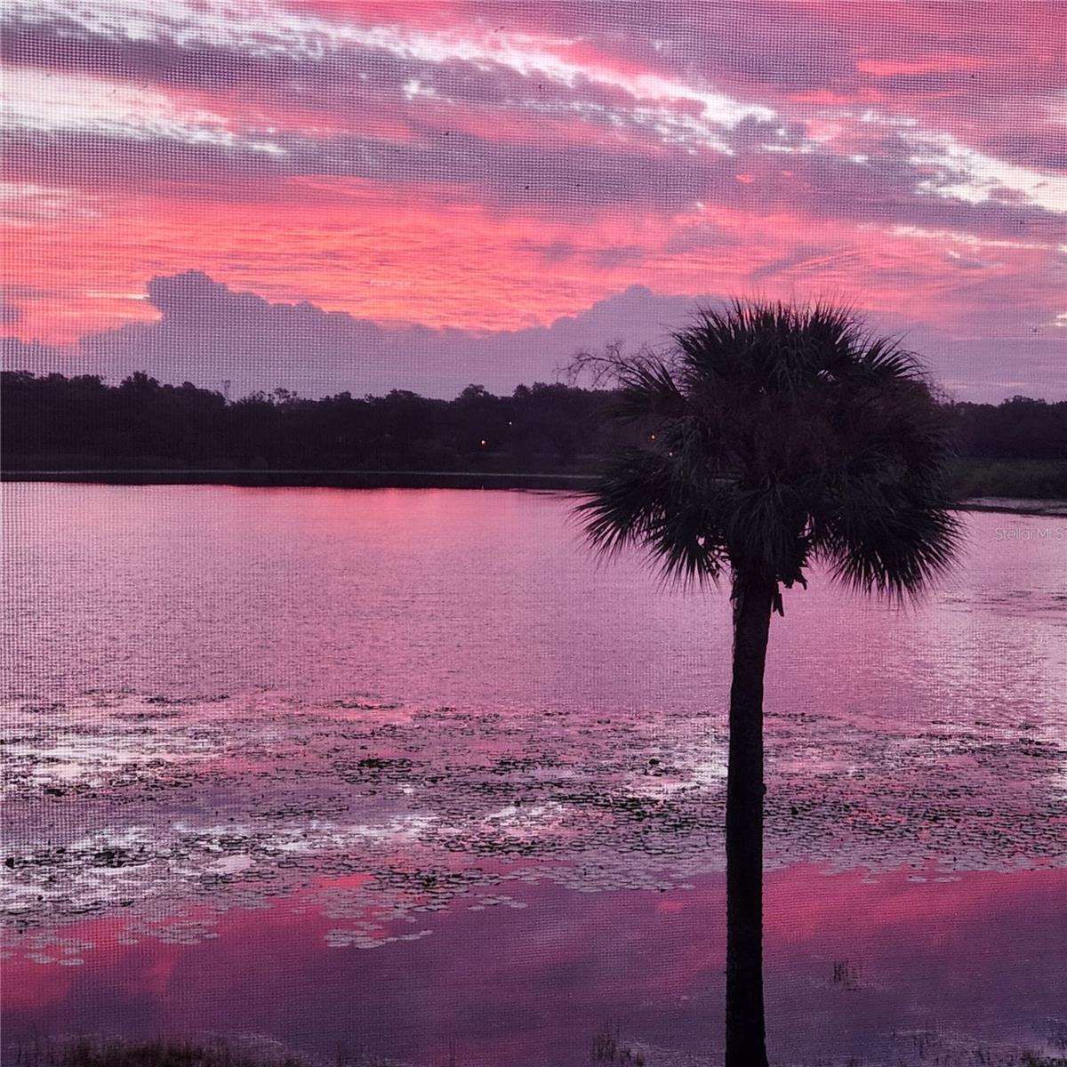 Image 36 of 38 For 353 Lake Faith Drive 116