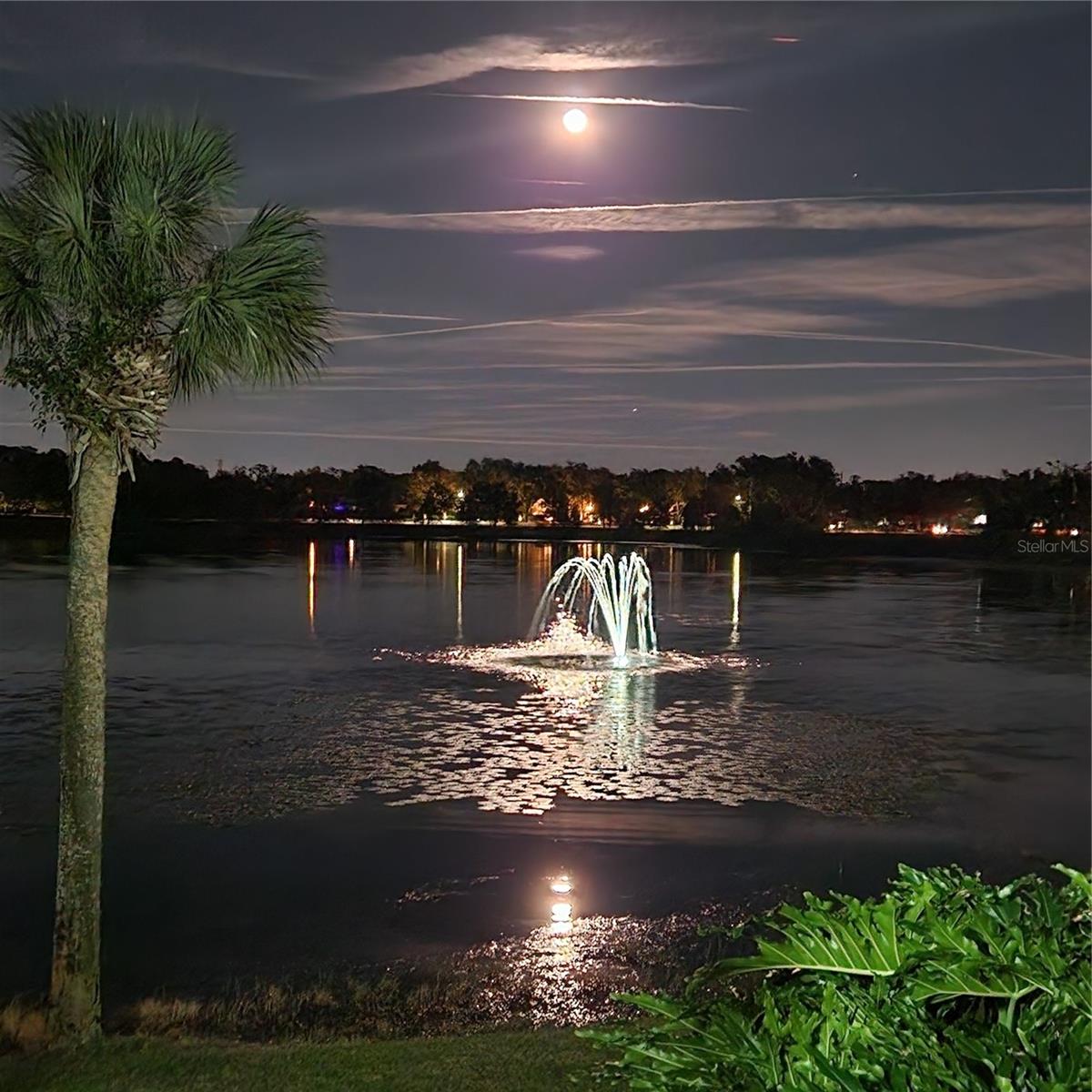 Image 37 of 38 For 353 Lake Faith Drive 116