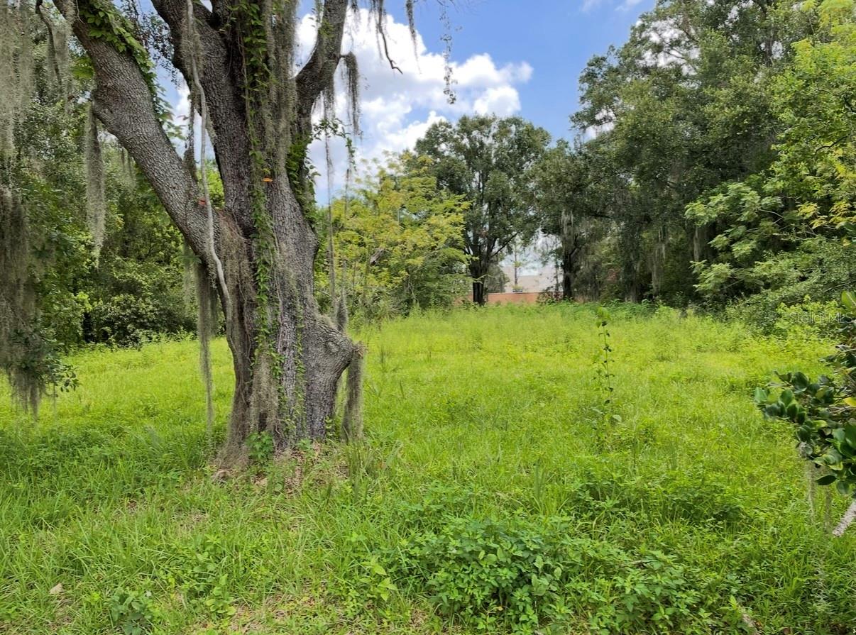 Listing Details for 7449 Restful Street, WINTER PARK, FL 32792