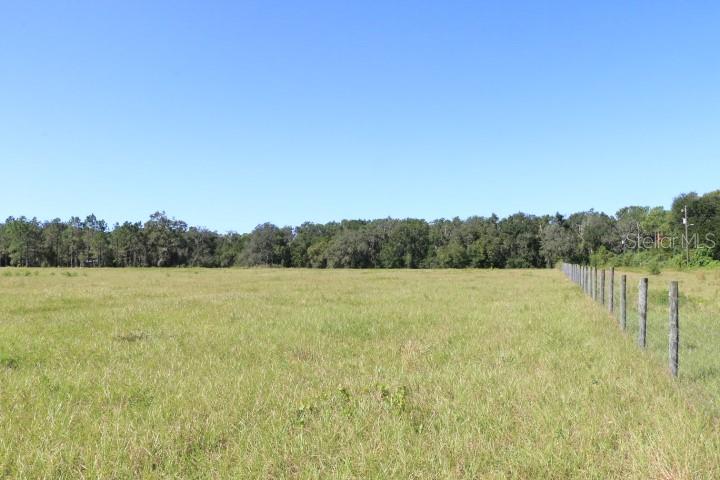 Image 12 of 37 For 11311 Carter Island Road