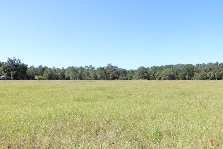 Image 8 of 37 For 11311 Carter Island Road