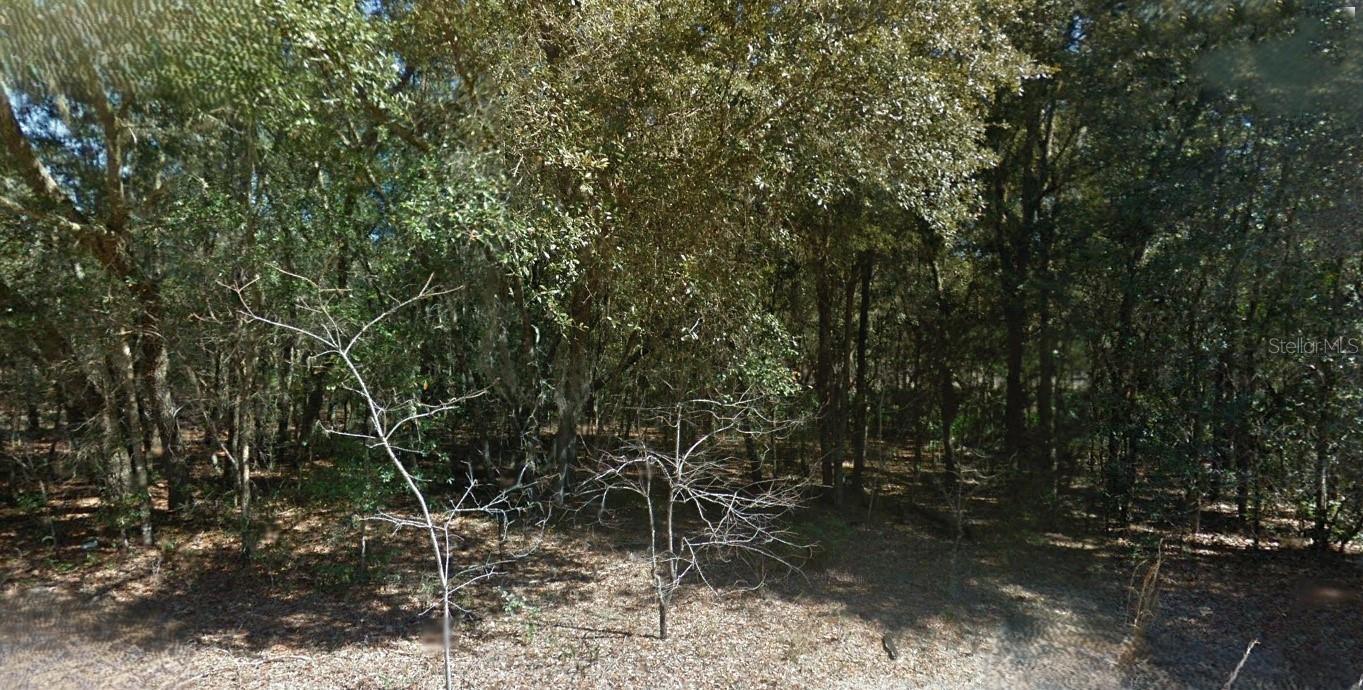 Details for 202 Cedar Trail, INTERLACHEN, FL 32148