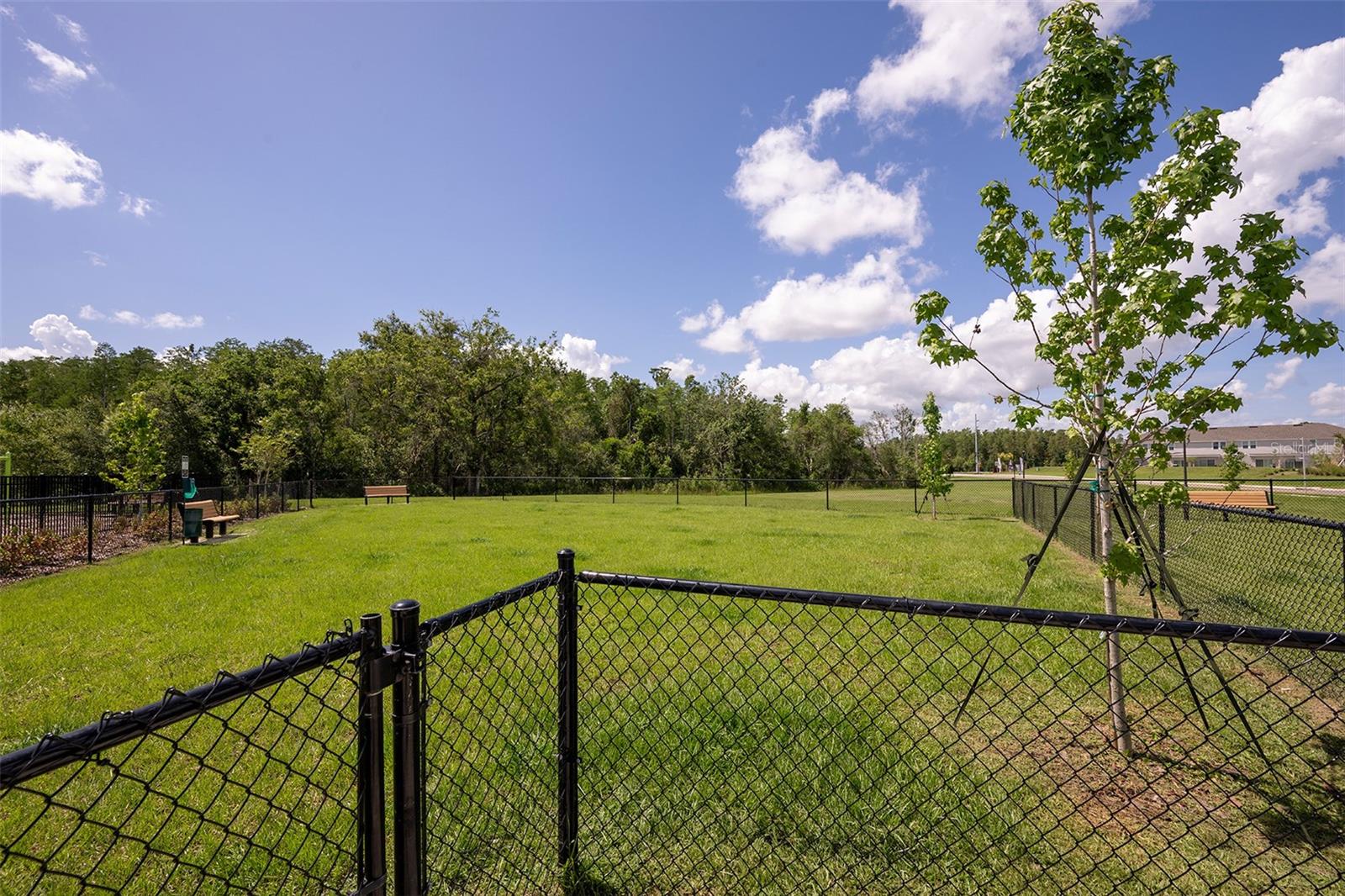 Image 28 of 32 For 2958 Skyline Loop