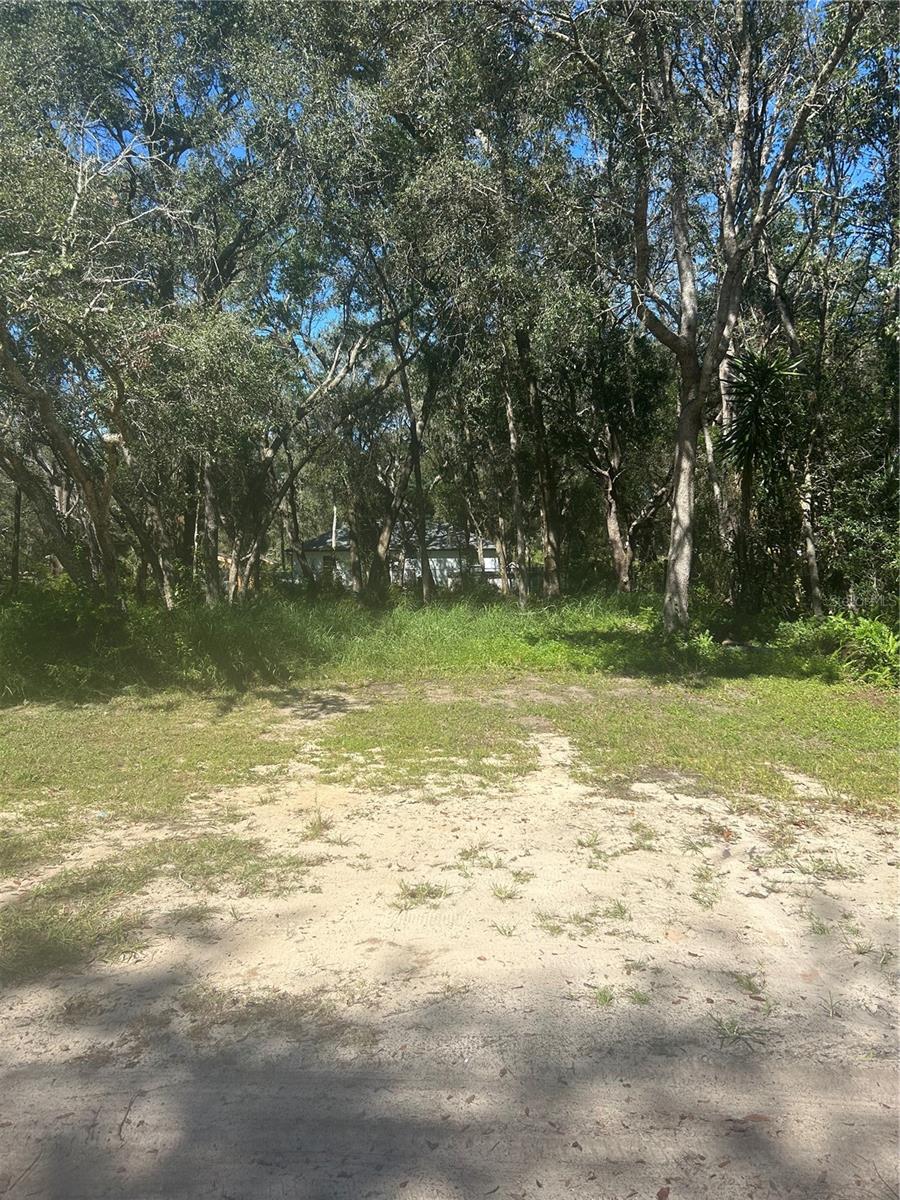 Details for Calamondin Street, LADY LAKE, FL 32159