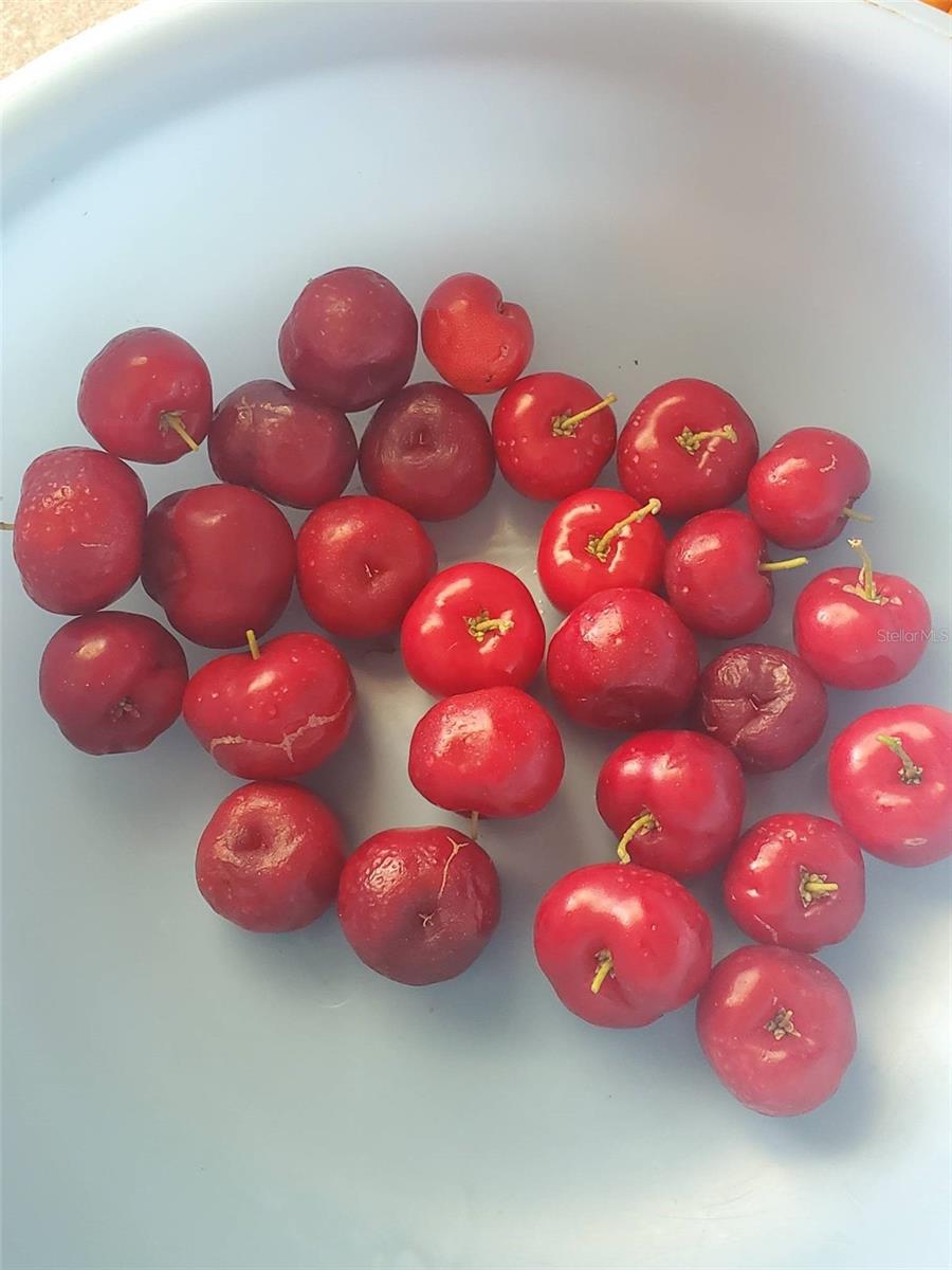 Image 48 of 53 For 4816 Barbados Loop