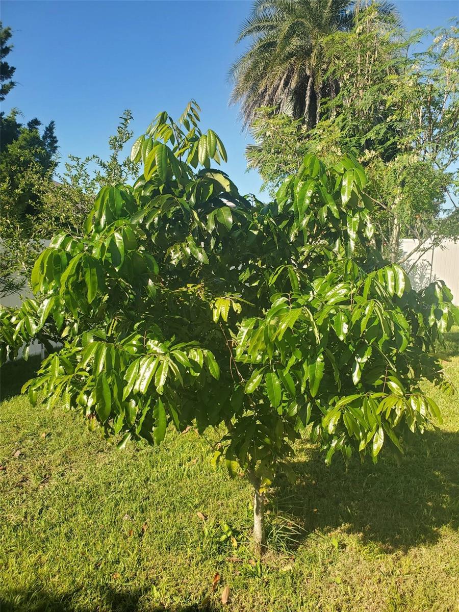 Image 50 of 53 For 4816 Barbados Loop